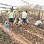 Ciclo de Seminários de Cooperativismo e Empreendedorismo nesta sexta em Quixadá QUIXADÁ