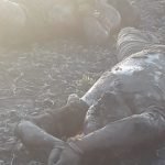 Veja o vídeo: Corpos de dois jovens são encontrados em covas rasas na periferia de Quixadá QUIXADÁ