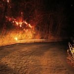 Fogo atinge vegetação nativa da Serra do Estevão em Quixadá, no Ceará QUIXADÁ