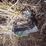 Dupla é presa após cometer furto de bateria em um caminhão no município de Pedra Branca SERTÃO CENTRAL