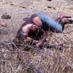 Corpo de um homem, crivado de balas, foi encontrado, na manhã de hoje, em Milhã SERTÃO CENTRAL