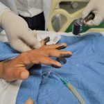 Perícia Forense identifica foragido da Justiça que recebia atendimento médico no IJF PLANTÃO POLICIAL