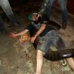 FATO OU BOATO? Homem é atacado e morto por cobra sucuri na zona rural de Aquiraz PLANTÃO POLICIAL