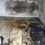 Duas residências são alvo de incêndio criminoso em Solonópole SERTÃO CENTRAL