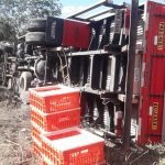 Caminhão de uma empresa de alimentos tomba com uma carga de 2.280 frangos na CE 060 SERTÃO CENTRAL