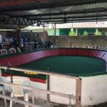 PMCE desativa rinha de galos que acontecia em sítio no Eusébio PLANTÃO POLICIAL