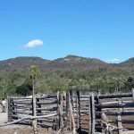 Debilitado, Zé do Valério passa mal e cai no chão mas consegue escapar PLANTÃO POLICIAL