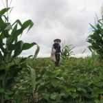 Agricultoras beneficiadas com Cadernetas Agroecológicas participam de Encontro Estadual TEMA LIVRE