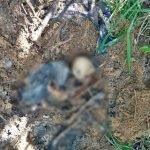 Ossada humana é encontrada por agricultor na zona rural de Senador Pompeu SERTÃO CENTRAL