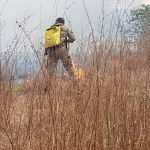 Corpo de Bombeiros debela incêndio em vegetação entre Crateús e Independência PLANTÃO POLICIAL
