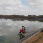 CBMCE realiza resgate de animal em estação de tratamento de esgoto em Limoeiro do Norte PLANTÃO POLICIAL