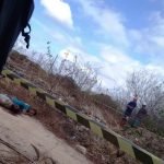Mistério e crueldade: corpos de jovens são encontrados amarrados e com marcas de tiros em Caucaia PLANTÃO POLICIAL