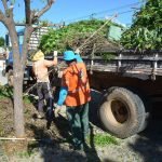 A Prefeitura de Quixeramobim, por meio da Secretaria de Infraestrutura, está realizando o serviço de limpeza e manutenção em diferentes bairros da cidade. QUIXERAMOBIM