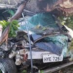 Sete pessoas morrem em acidentes de trânsito no Ceará no fim de semana PLANTÃO POLICIAL