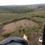 Veja o Vídeo: Homens são presos pela PMCE por manterem plantação de maconha em Porteiras PLANTÃO POLICIAL