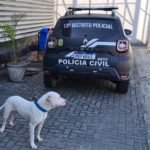 PLANTÃO POLICIAL