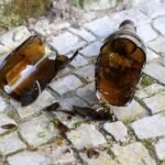 Homem é vítima de lesão por gargalo de garrafa em Quixadá QUIXADÁ