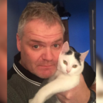 Gata arranha dono até acordá-lo e homem escapa de incêndio; animal não sobreviveu TEMA LIVRE