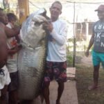 Peixe de mais de 100 kg é capturado por pescador no litoral do RN TEMA LIVRE