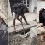 Cão cai em bueiro e é resgatado por moradores em Fortaleza TEMA LIVRE