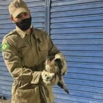 Bombeiros resgata jiboia e carcará em imóveis nos municípios de Ipueiras e Quixadá QUIXADÁ