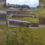 Veja o vídeo: Açude Rosário é o segundo a sangrar no Ceará em 2022 TEMA LIVRE