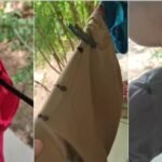 Vídeo viralizou: Raio queima cuecas estendidas em fio usado como varal durante temporal no Ceará: ‘Não sobrou uma’ TEMA LIVRE