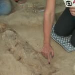 Ossada de bebê é encontrada durante escavações em achado arqueológico urbano em comunidade TEMA LIVRE