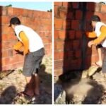 Homem é mordido por jacaré ao tentar capturá-lo em Itaitinga, na Região Metropolitana de Fortaleza TEMA LIVRE