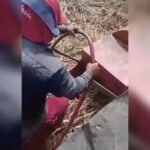 Agricultor tem perna ‘engolida’ por máquina de moer capim enquanto trabalhava em roçado no Ceará TEMA LIVRE