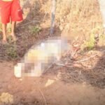 “Tragédia em Mineirolândia: Corpo de homem é encontrado sem vida com sinais de violência” SERTÃO CENTRAL