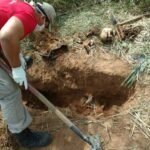 Acusados de matar quatro pessoas em ritual macabro para ganhar na Mega-Sena são condenados PLANTÃO POLICIAL