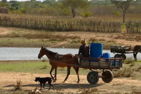 68 cidades voltam a registrar seca extrema e CE tem pior cenário em 7 anos