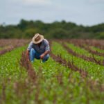 Dia do Agricultor: a força do campo que impulsiona Quixeramobim e garante alimento na mesa dos brasileiros